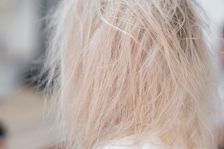 ingredienti-capelli-secchi